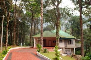 Munnar Resorts Cottages Homestays Hotels Munnar Budget Packages