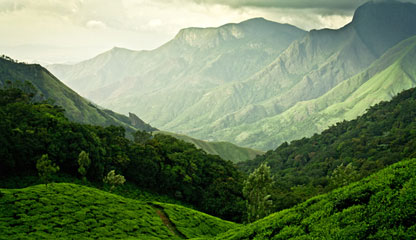 2 Nights / 3 Days for 2 Persons
Madurai / Coimbatore - Munnar