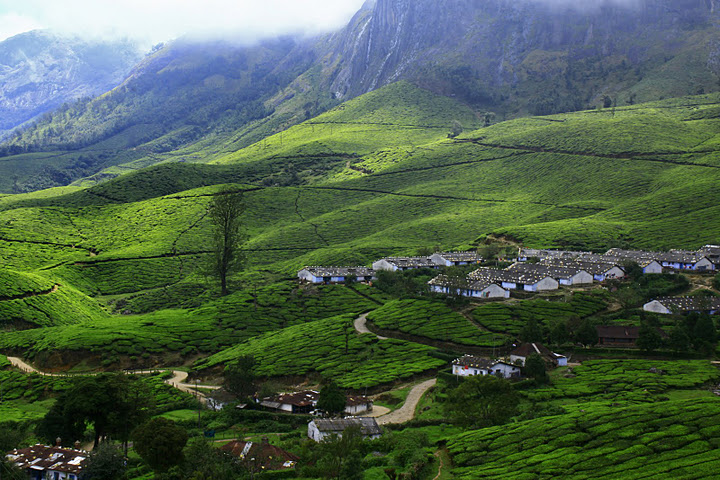 1 Night / 2 Days (6 Persons)
Madurai - Munnar - Madurai