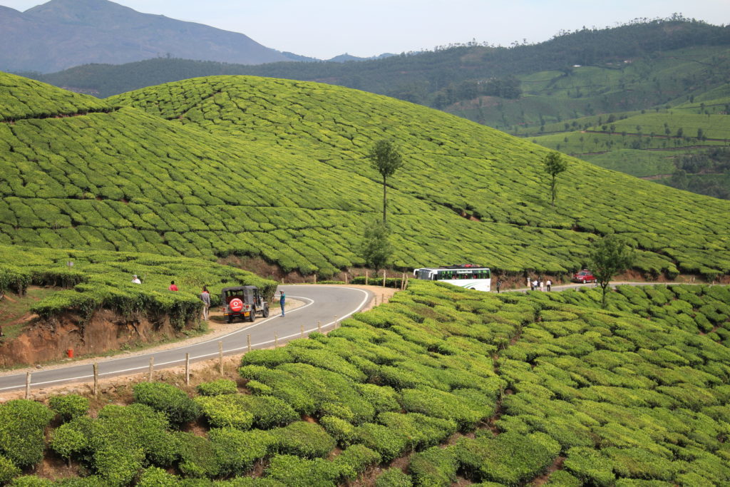 2 Nights / 3 Days per Person
Madurai - Munnar - Madurai