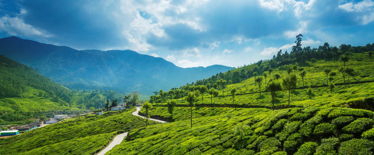 Munnar Mattupetty Dam