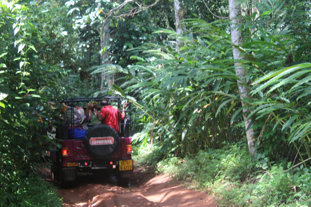 Farm Visit Munnar